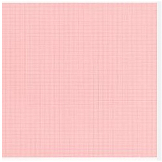 十二導心電圖紙