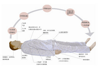 模擬人General Doctor 10000