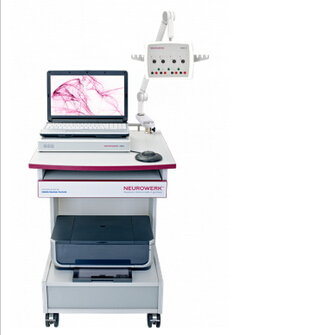 德國SIGMA Medizin-Technik   NEUROWERK 肌電圖/誘發電位系統