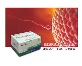 精子DNA碎片染色試劑盒（SCD染色法）