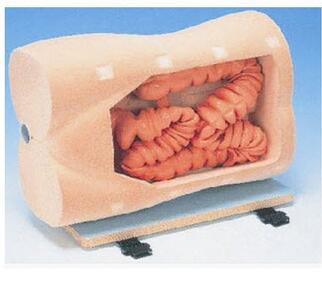 結腸鏡檢查訓練模型 KAR/LV42