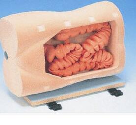 結腸鏡檢查訓練模型 KAR/LV42