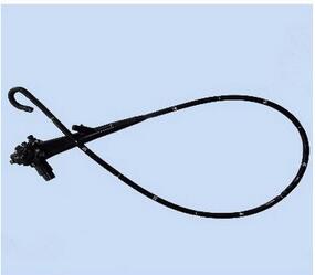 電子大腸鏡 CMD-1300