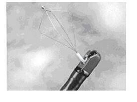 大鉗道 廣角 頭端射水裝置 治療型 ED-450XT5