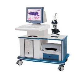 白帶動靜態圖像分析系統