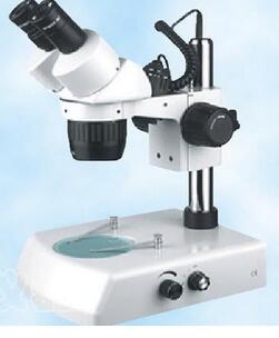 雙目體視顯微鏡PS24B (兩個(gè)倍數(shù)轉(zhuǎn)換)
