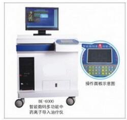 中頻藥物離子導入治療儀 BE-6000