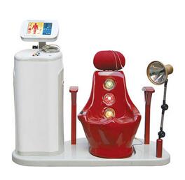 低頻脈沖治療儀 WLSY-8000型