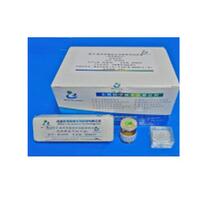 精子成熟度,流產(chǎn)/胚胎停育檢測試劑 BRED-023