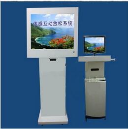 體感互動系統(tǒng)