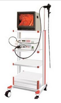 電子胃鏡 GVE-2100