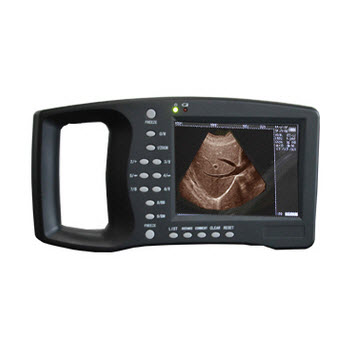 RH-300AVET手持式獸用超聲診斷儀