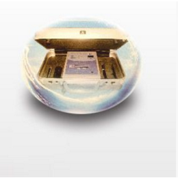 日本原裝進口 HIGH VITALIONT離子導入儀 