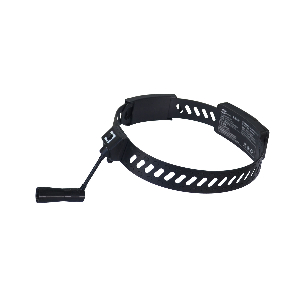 頭戴式檢查燈 LD-II