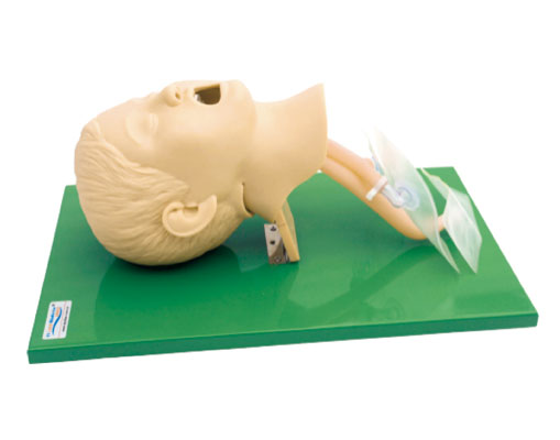 兒童氣管插管模型?KAS-15/3