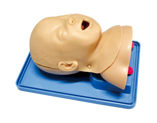 嬰兒氣管插管訓練模型?KAS-15/2