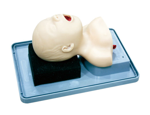 新生兒氣管插管訓練模型KAS-15/1