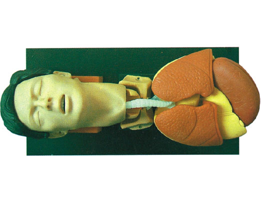 2011081549300765.jpg 2011081549300765.jpg