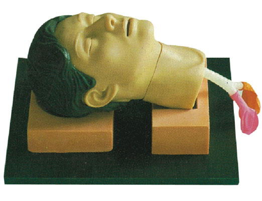 2011081549738813.jpg 2011081549738813.jpg