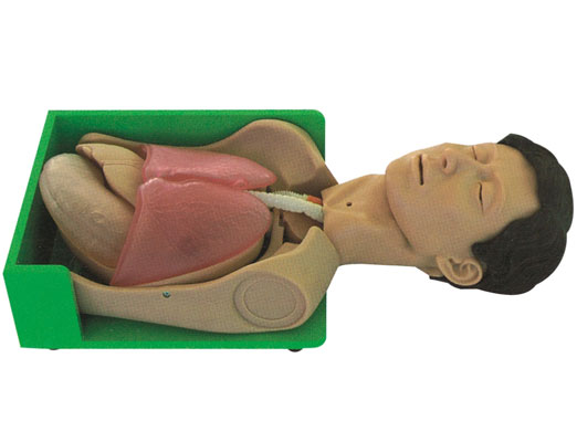 2011090140865969.jpg 2011090140865969.jpg