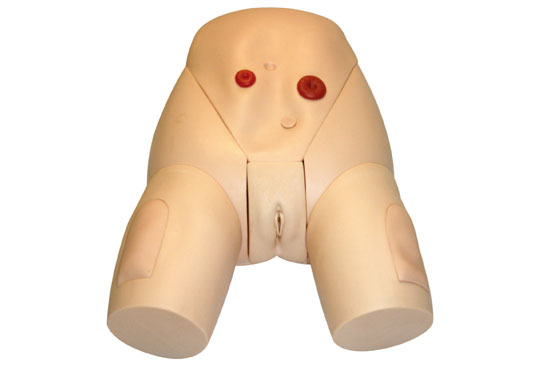 整體女性導尿模型KAS-E2