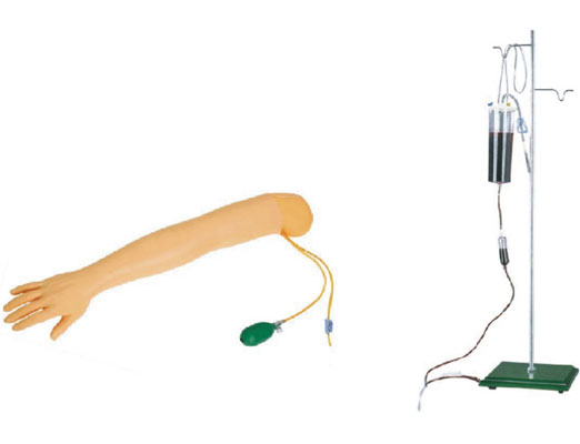 手臂動脈穿刺及肌肉注射訓練模型KAS-S3