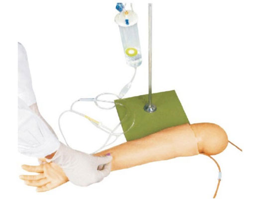 兒童手臂靜脈穿刺模型KAS-S4