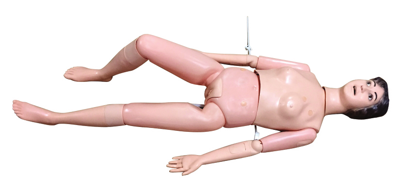 關節橡皮筋固定新型多功能護理人實習模型(女性)?KAS-II