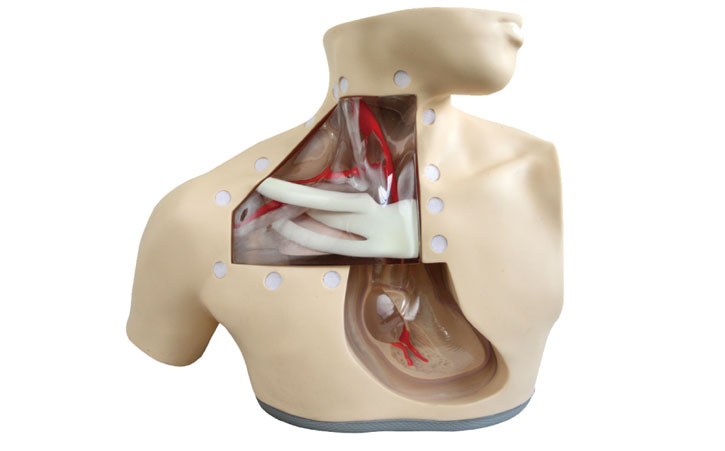 2013041241405737.jpg 2013041241405737.jpg