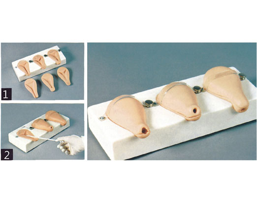 人工流產模擬子宮?KAS/T33A