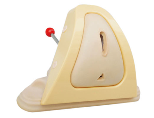 會陰切開縫合技能訓練模型?KAS-F3A