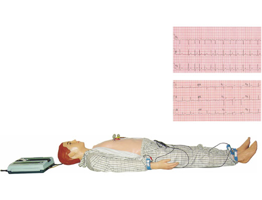 多種心電圖電腦模擬人KAS/XDI