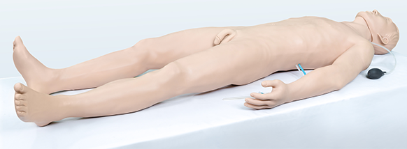 綜合穿刺仿生標準化病人(全身骨骼)KAS/D111