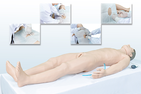 綜合穿刺術高仿真標準化病人KAS/D109