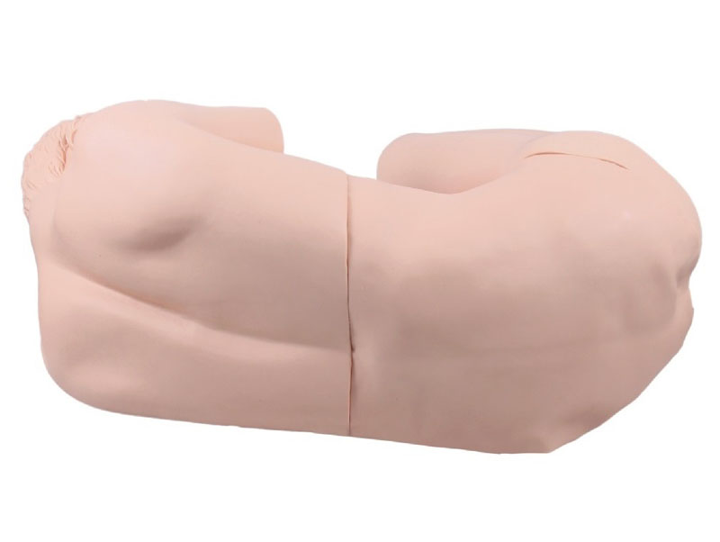 腰椎穿刺仿真標準化病人KAS/CK811