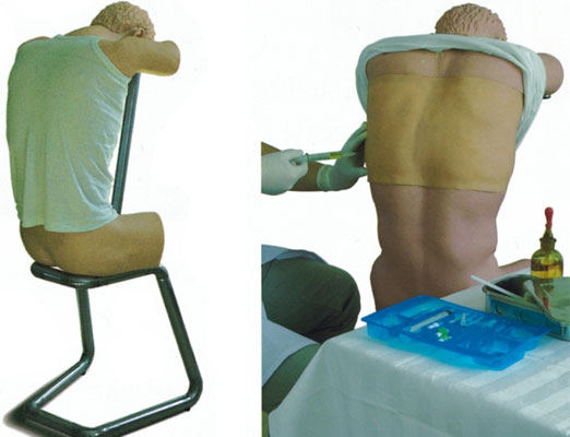 背部(胸部)穿刺訓練模型KAS/CK812