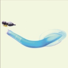 1363935575.jpg 1363935575.jpg