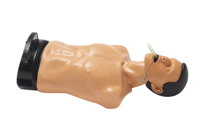 安保氣道訓(xùn)練模型機械型Ambu Airway Man W