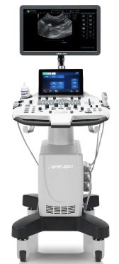 1663831177209.png 1663831177209.png