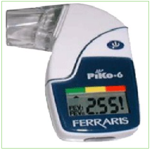 美國肺功能測定儀 PIKO-6型