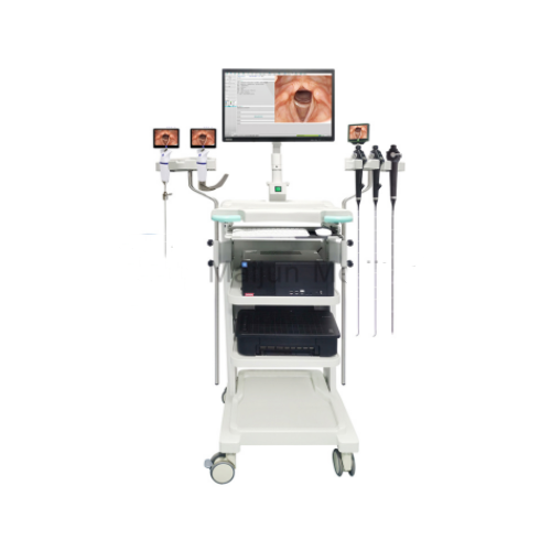 電子內窺鏡系統.png 未命名.png