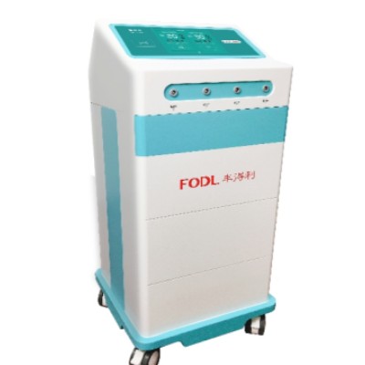 豐得利磁療儀HZ-SJ100