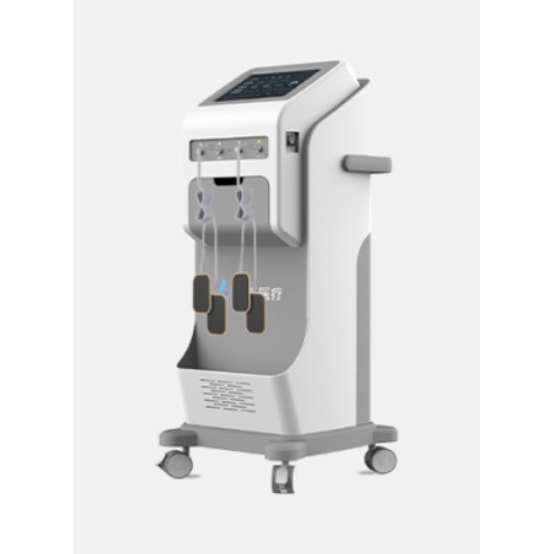 樂邦中醫定向透藥治療儀YK一TYY-600