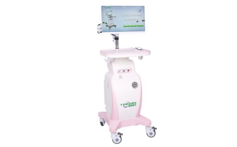 盆底康復治療儀 盆底康復治療儀