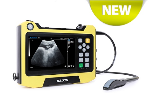 凱信全數(shù)字B型超聲診斷儀KX5600E